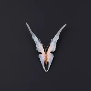 Butterfly Brooch | Antique Brooch