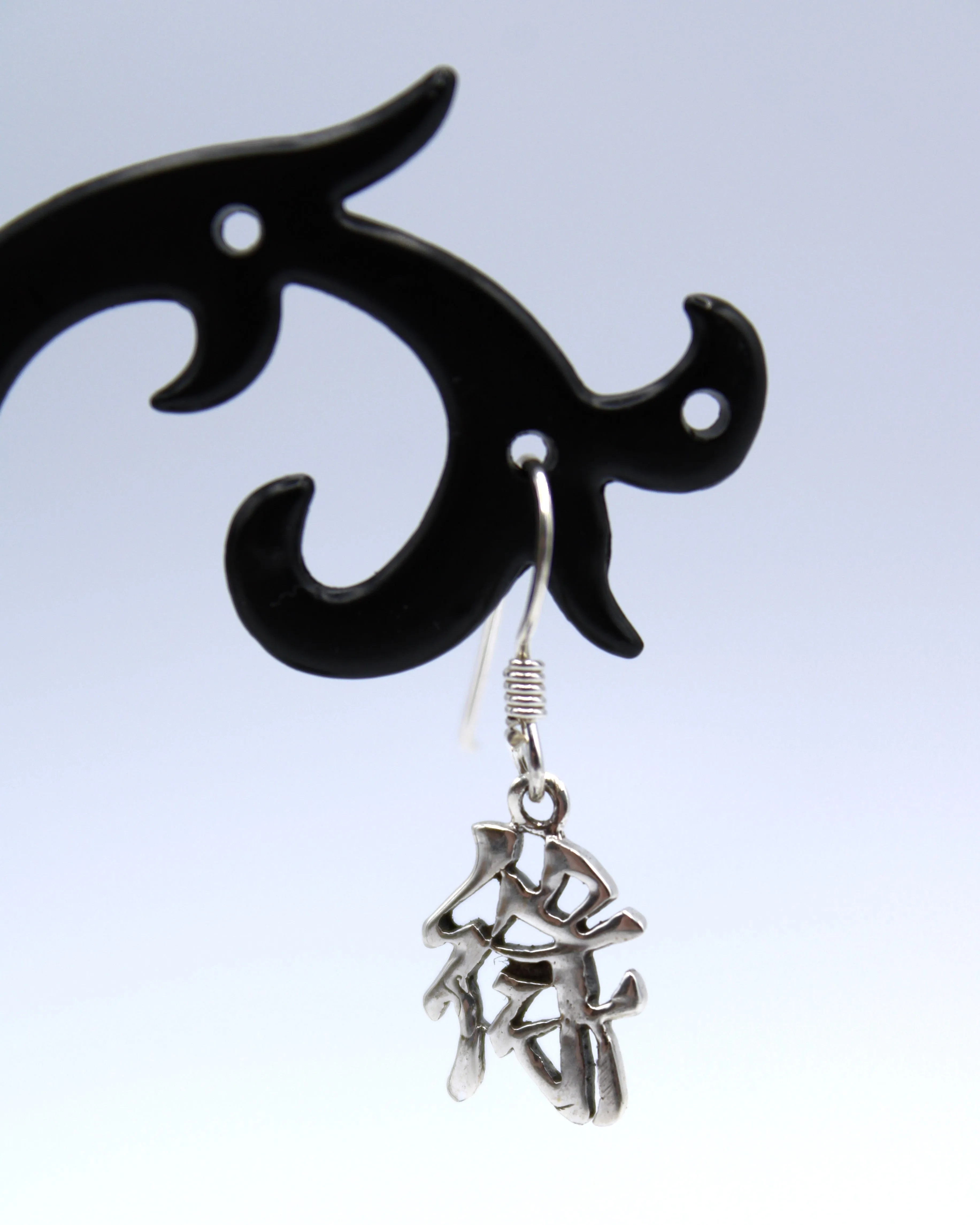Follow The Fate Sterling Silver Earrings