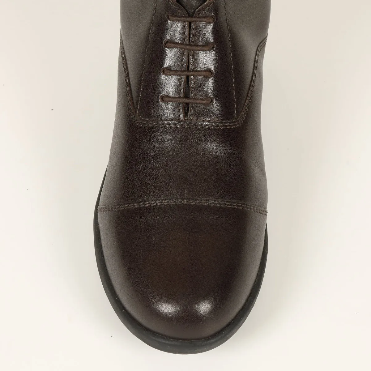 Shires Moretta Brown Gianna Lace Front Long Leather Riding Boots (Regular Height)