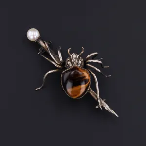 Spider Brooch | Antique Brooch